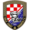 Gold Coast Knights